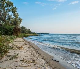 Білгород-Дністровський лиман